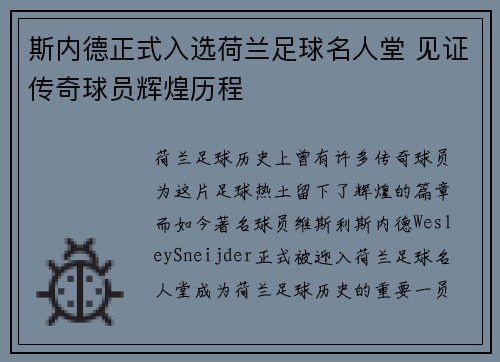 斯内德正式入选荷兰足球名人堂 见证传奇球员辉煌历程